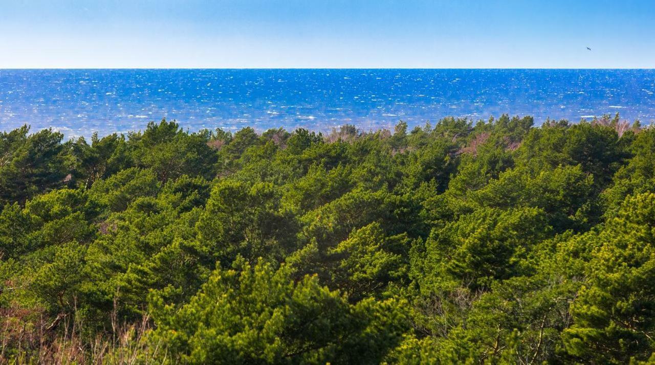 Palanga Sea View Διαμέρισμα Εξωτερικό φωτογραφία